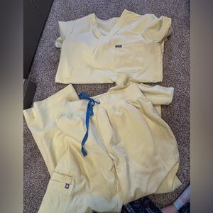 Figs sunlight yellow small petite set